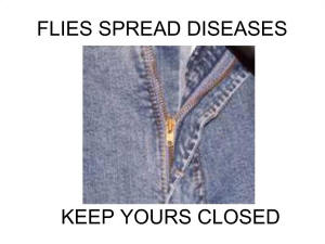 Flies Spread Diseases, Keep Yours Closed